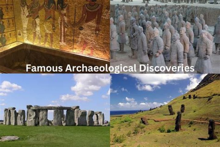 Discoveries And Insights For The Camo1 Niche