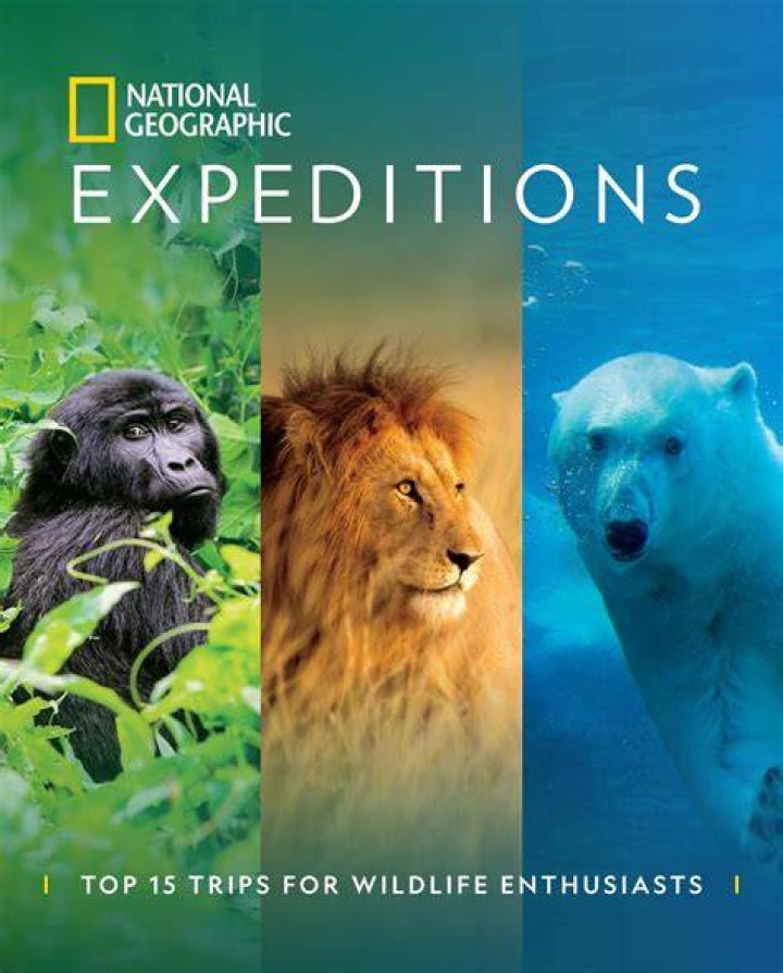 Discoveries And Insights For Wildlife Enthusiasts