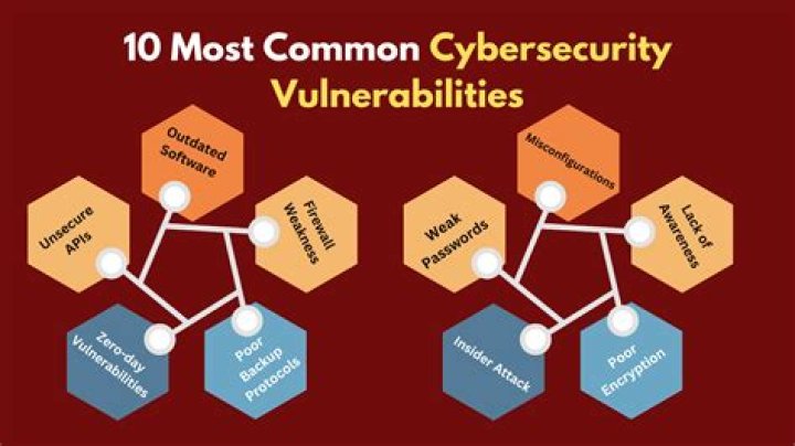 Uncovering Vulnerabilities And Privacy Concerns