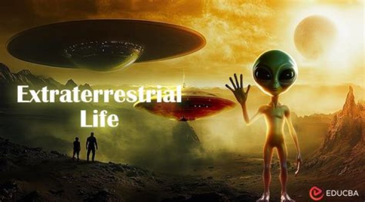 Unveiling The Enigma Of Extraterrestrial Infants: Astonishing Revelations And Insights